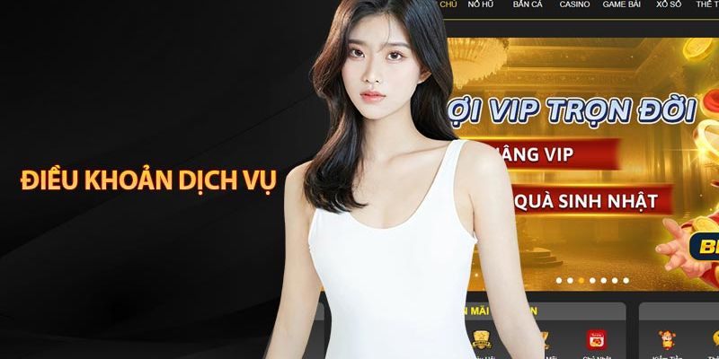 Đôi nét về điều khoản dị vụ của nhà cái 23win